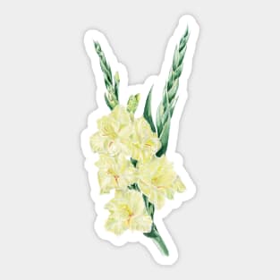 Gladiolus Sticker